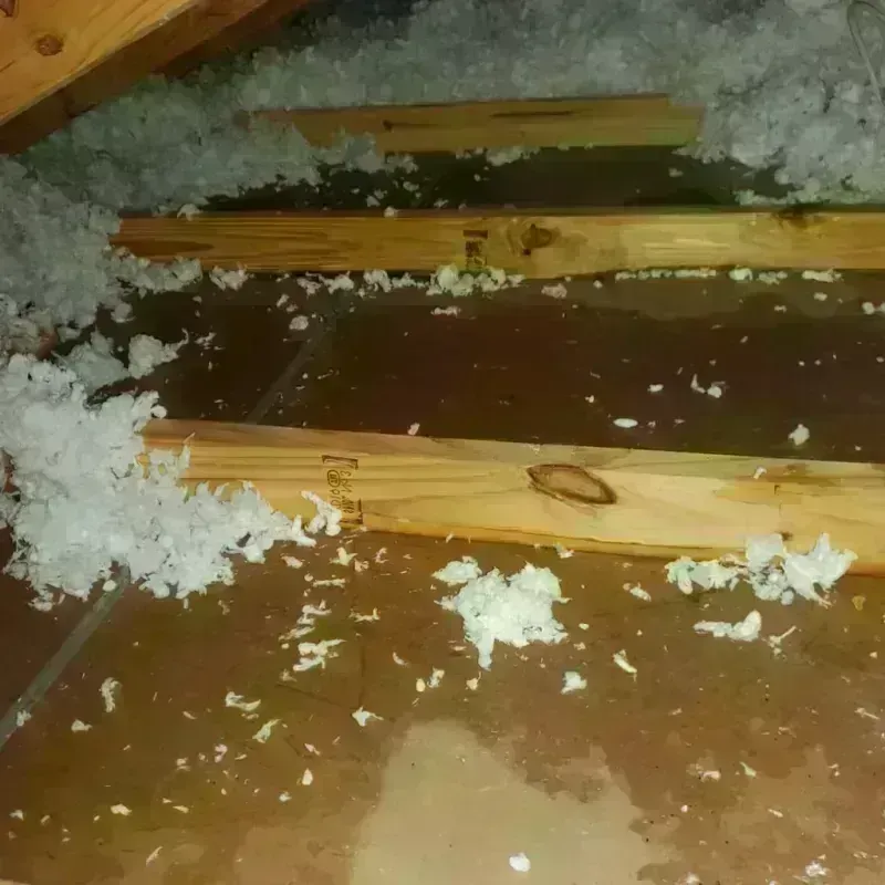 Attic Water Damage in Magnolia, MS