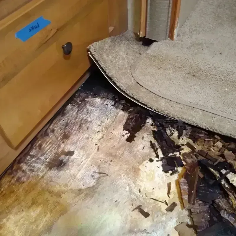 Wood Floor Water Damage in Magnolia, MS